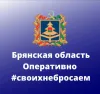 Бранская область. Оперативно в мессенджере MAX