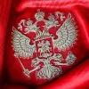 Сборная России по футболу в мессенджере MAX