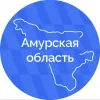 Амурская область | Правительство в мессенджере MAX