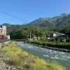 Любимый Сочи (все объявления)