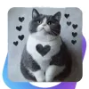 Стикер Котаны в мессенджере MAX Стикер Котаны в мессенджере MAX