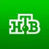 НТВ | mx-radar.ru - все о мессенджере MAX