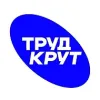 ТрудКрут | РСО | mx-radar.ru - все о мессенджере MAX