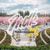 MDK Краснодар | mx-radar.ru - все о мессенджере MAX