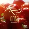 Телеканал СПАС | mx-radar.ru - все о мессенджере MAX