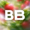 ВкусВилл | mx-radar.ru - все о мессенджере MAX